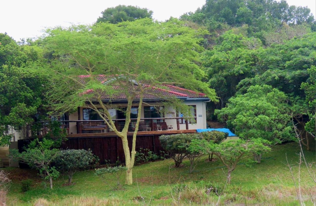 Nkumbe Bush Retreat Family Home Ponta Malongane Exteriör bild